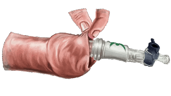 novo-inflator-ezgif.com-webp-to-gif-converter.gif (1)